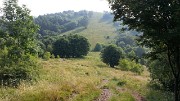 27 giugno 2015 Monte Palanzone dalla Colma di Sormano - FOTOGALLERY